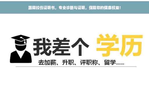 跟腱拉伤证明书，专业诊断与证明，保障您的健康权益！