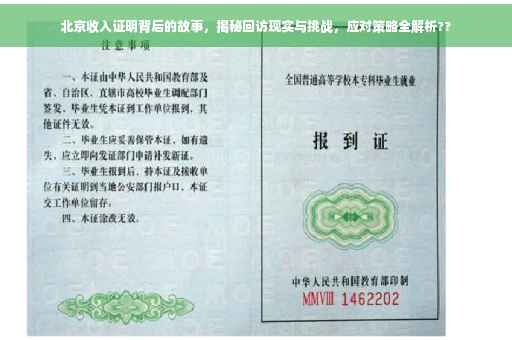 北京收入证明背后的故事，揭秘回访现实与挑战，应对策略全解析??