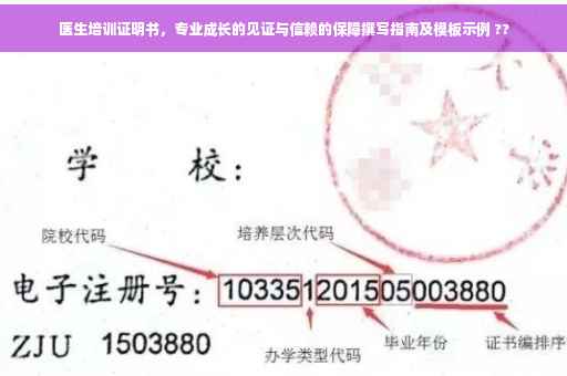 医生培训证明书，专业成长的见证与信赖的保障撰写指南及模板示例 ??