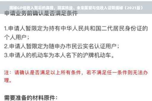 揭秘GP低收入背后的真相，现实挑战、未来展望与低收入证明揭秘（2021版）