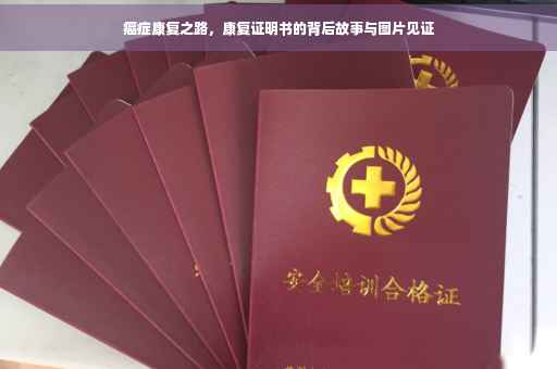 癌症康复之路，康复证明书的背后故事与图片见证