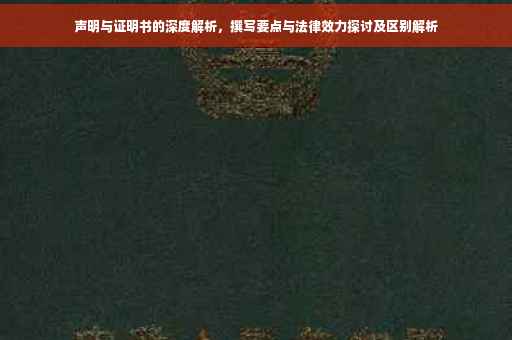 声明与证明书的深度解析，撰写要点与法律效力探讨及区别解析