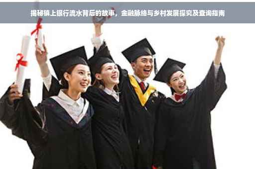 揭秘镇上银行流水背后的故事，金融脉络与乡村发展探究及查询指南
