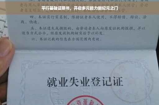 平行基础证明书，开启多元能力新纪元之门