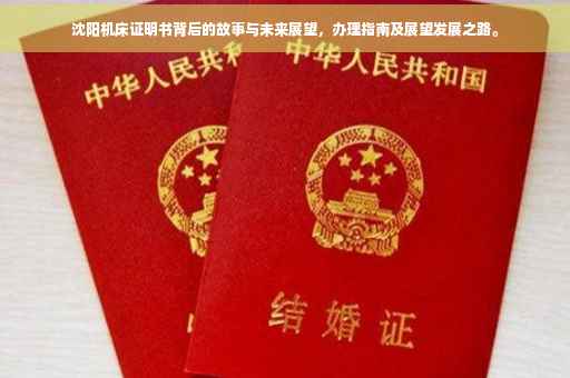 沈阳机床证明书背后的故事与未来展望，办理指南及展望发展之路。