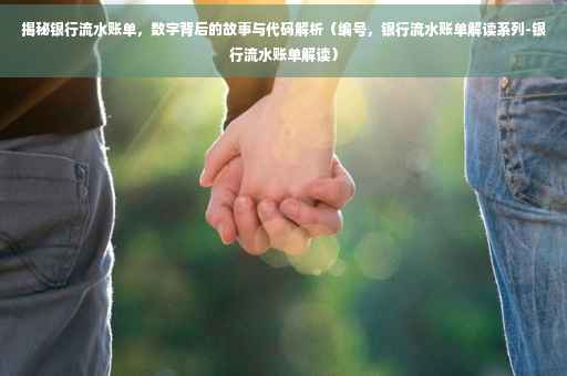 揭秘银行流水账单，数字背后的故事与代码解析（编号，银行流水账单解读系列-银行流水账单解读）