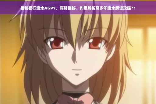 揭秘银行流水AGPY，真相揭秘、作用解析及多年流水解读攻略??