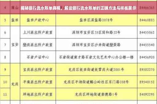 揭秘银行流水账单真相，解读银行流水账单的正确方法与样板展示
