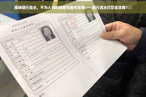 揭秘银行流水，不为人知的秘密与操作指南——银行流水打印全攻略?⚡️