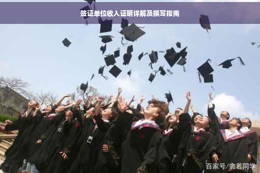 签证单位收入证明详解及撰写指南