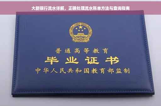 大新银行流水详解，正确处理流水账单方法与查询指南