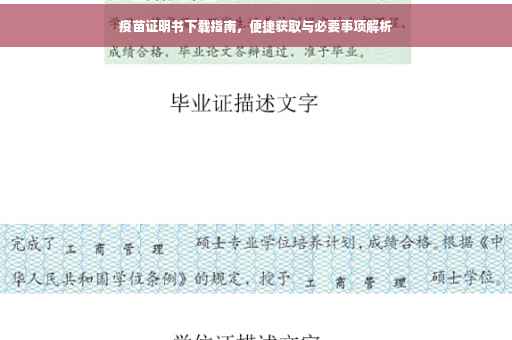 疫苗证明书下载指南，便捷获取与必要事项解析