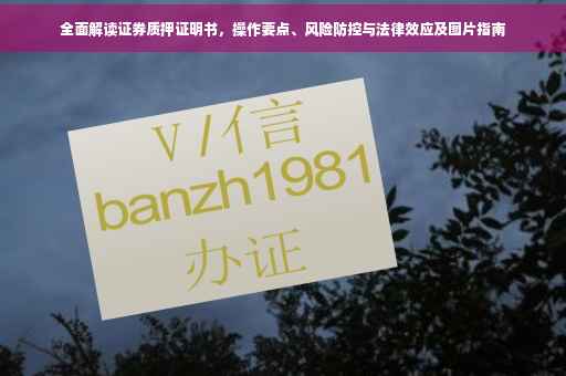 全面解读证券质押证明书，操作要点、风险防控与法律效应及图片指南