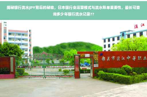 揭秘银行流水JPY背后的秘密，日本银行业运营模式与流水账单重要性，最长可查询多少年银行流水记录??