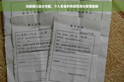 活期银行流水详解，个人资金的有效利用与管理策略