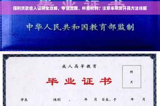 保利贷款收入证明全攻略，申请流程、所需材料、注意事项及开具方法详解