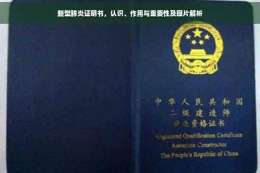 新型肺炎证明书，认识、作用与重要性及图片解析