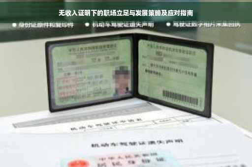 无收入证明下的职场立足与发展策略及应对指南