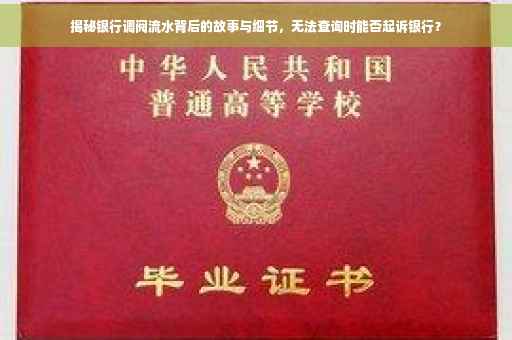 揭秘银行调阅流水背后的故事与细节，无法查询时能否起诉银行？