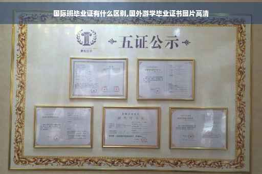 国际班毕业证有什么区别,国外游学毕业证书图片高清