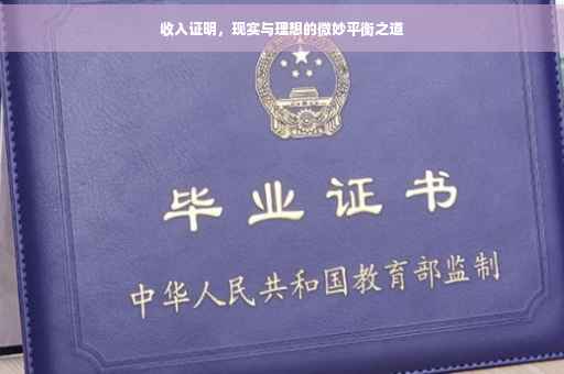 收入证明，现实与理想的微妙平衡之道