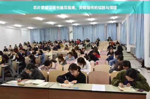 芯片质量证明书编写指南，关键组件的信赖与保障