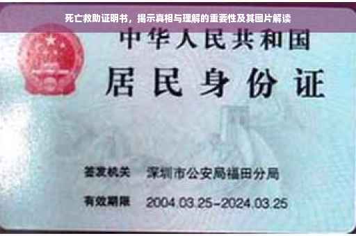 死亡救助证明书，揭示真相与理解的重要性及其图片解读