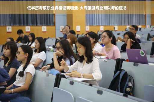 低学历考取职业资格证有哪些-大专旅游专业可以考的证书