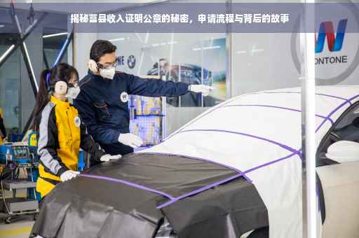 揭秘莒县收入证明公章的秘密，申请流程与背后的故事