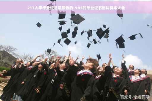 211大学毕业证书是颜色的-985的毕业证书图片样本大全