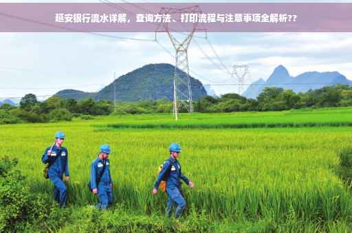 延安银行流水详解，查询方法、打印流程与注意事项全解析??