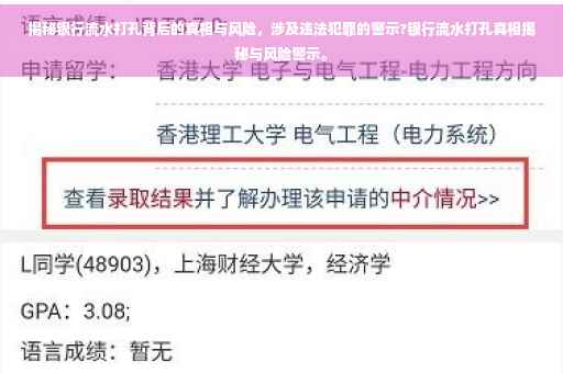 揭秘银行流水打孔背后的真相与风险，涉及违法犯罪的警示?银行流水打孔真相揭秘与风险警示。