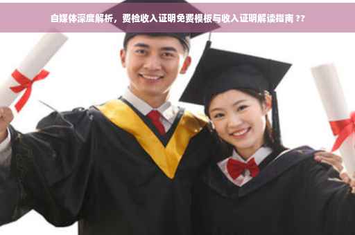 自媒体深度解析，费检收入证明免费模板与收入证明解读指南 ??