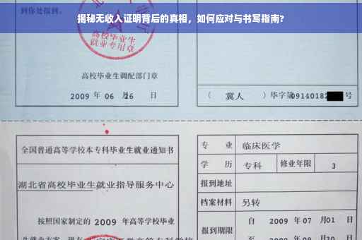 揭秘无收入证明背后的真相，如何应对与书写指南?
