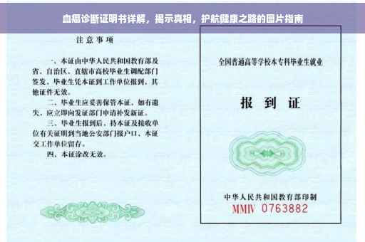 血癌诊断证明书详解，揭示真相，护航健康之路的图片指南