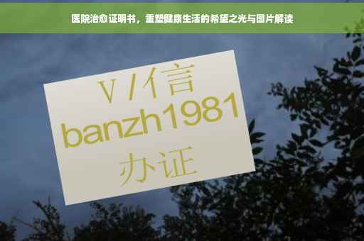 医院治愈证明书，重塑健康生活的希望之光与图片解读
