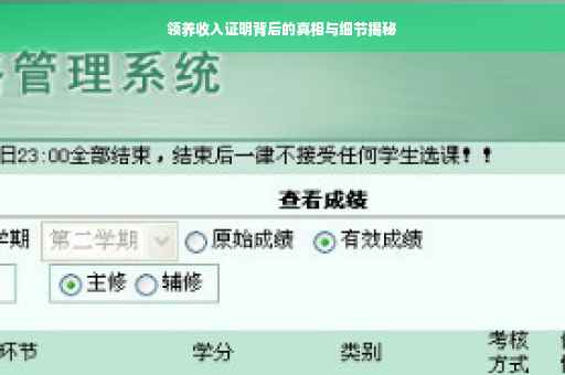 领养收入证明背后的真相与细节揭秘