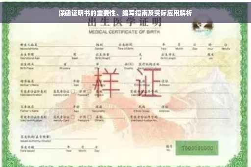 保函证明书的重要性、编写指南及实际应用解析