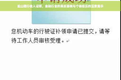 盐山建行收入证明，金融行业的真实面貌与个体经历的深度揭示