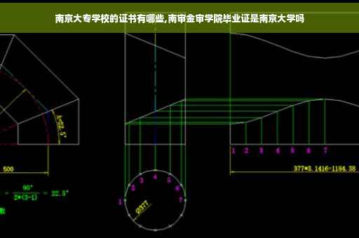 南京大专学校的证书有哪些,南审金审学院毕业证是南京大学吗