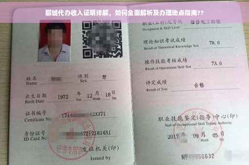 聊城代办收入证明详解，如何全面解析及办理地点指南??