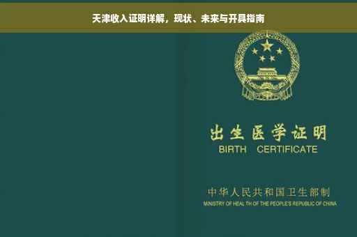 天津收入证明详解，现状、未来与开具指南