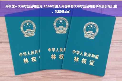高校成人大专毕业证书图片,2000年成人高等教育大专毕业证书的学校编码是几位，怎样组成的