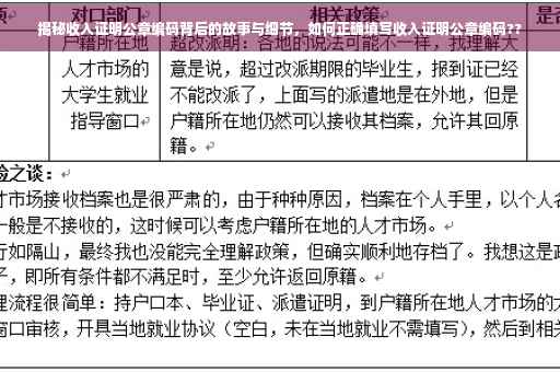 揭秘收入证明公章编码背后的故事与细节，如何正确填写收入证明公章编码??