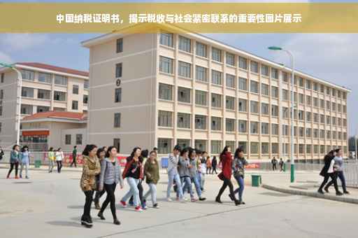 中国纳税证明书，揭示税收与社会紧密联系的重要性图片展示