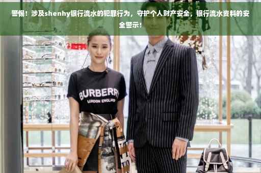 警惕！涉及shenhy银行流水的犯罪行为，守护个人财产安全，银行流水资料的安全警示！