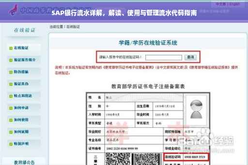 SAP银行流水详解，解读、使用与管理流水代码指南