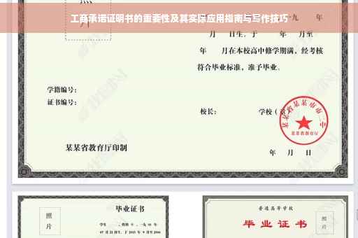 工商承诺证明书的重要性及其实际应用指南与写作技巧