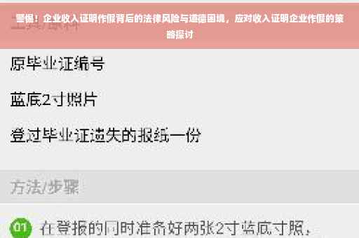 警惕！企业收入证明作假背后的法律风险与道德困境，应对收入证明企业作假的策略探讨