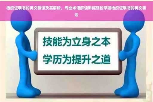 检疫证明书的英文翻译及其解析，专业术语解读助你轻松掌握检疫证明书的英文表达